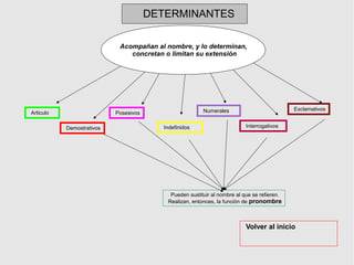 Articulo
Demostrativos
Posesivos
Indefinidos
Numerales
Interrogativos
Exclamativos
Acompañan al nombre, y lo determinan,
concretan o limitan su extensión
Pueden sustituir al nombre al que se refieren.
Realizan, entonces, la función de pronombre
DETERMINANTES
Volver al inicio
 