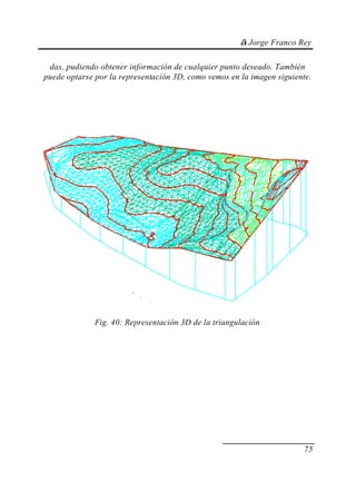 © Jorge Franco Rey
75
das, pudiendo obtener información de cualquier punto deseado. También
puede optarse por la representación 3D, como vemos en la imagen siguiente.
Fig. 40: Representación 3D de la triangulación
 