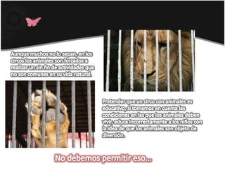 Aunque muchos no lo sepan, en los circos los animales son forzados a realizar un sin fin de actividades que no son comunes en su vida natural.Pretender que un circo con animales es educativo, si tomamos en cuenta las condiciones en las que los animales deben vivir, educa incorrectamente a los niños con la idea de que los animales son objeto de diversión.  No debemos permitir eso…