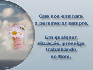 No clima da prece - Scheilla