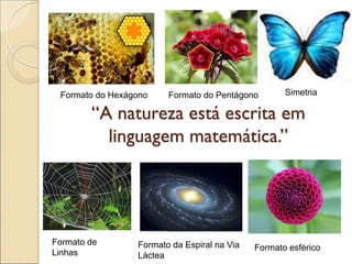 “A natureza está escrita em
linguagem matemática.”
Formato da Espiral na Via
Láctea
Formato do Hexágono Formato do Pentágono
Formato de
Linhas
Formato esférico
Simetria
 