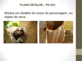 14
PLANO DETALHE – PD (01)
Mostra um detalhe do corpo do personagem, ou
objeto de cena.
 