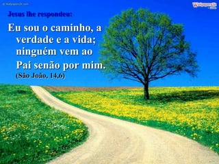 Jesus lhe respondeu:
Eu sou o caminho, a
verdade e a vida;
ninguém vem ao
Pai senão por mim.
(São João, 14,6)
 