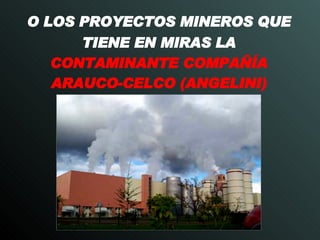 O LOS PROYECTOS MINEROS QUE TIENE EN MIRAS LA   CONTAMINANTE COMPAÑÍA ARAUCO-CELCO (ANGELINI) 