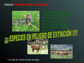 Deberá  MORIR  FLORA Y FAUNA… Donde habita el pudú,  el huemul (símbolo patrio), gato colo colo, el gato montés, la ranita de Darwin, el zorro kulpeo ,  Aves, anfibios, reptiles, liquen, etc. * La lista de conservación es larga.   ¡¡¡¡ ESPECIES EN PELIGRO DE EXTINCIÓN !!!!! 