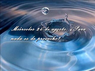 Miércoles 24 de agosto: ¿Para nada es de provecho? 