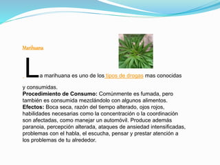 Marihuana
La marihuana es uno de los tipos de drogas mas conocidas
y consumidas.
Procedimiento de Consumo: Comúnmente es fumada, pero
también es consumida mezclándolo con algunos alimentos.
Efectos: Boca seca, razón del tiempo alterado, ojos rojos,
habilidades necesarias como la concentración o la coordinación
son afectadas, como manejar un automóvil. Produce además
paranoia, percepción alterada, ataques de ansiedad intensificadas,
problemas con el habla, el escucha, pensar y prestar atención a
los problemas de tu alrededor.
 