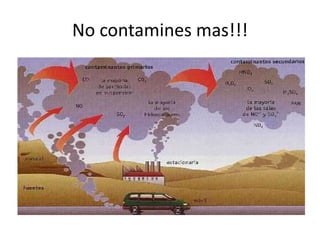 No contamines mas!!! 