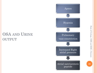 OSA AND URINE
OUTPUT
Apnea
Hypoxia
Pulmonary
vaso constriction
Increased Right
atrial pressure
Atrial natriureteric
peptide
22
Dept
of
Urology,
GRH
and
KMC,
Chennai.
 