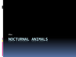NOCTURNAL ANIMALS
Alex
 