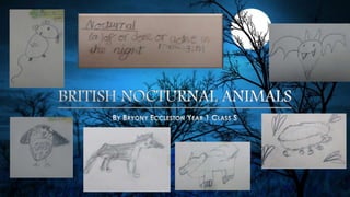 British Nocturnal Animals by Bryony Eccleston Year 1 