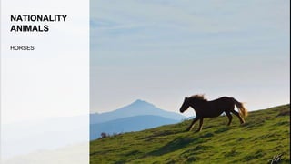 NATIONALITY
ANIMALS
HORSES
 