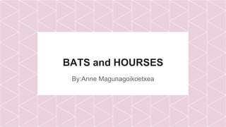 BATS and HOURSES
By:Anne Magunagoikoetxea
 