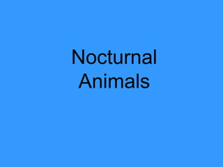 Nocturnal
Animals
 
