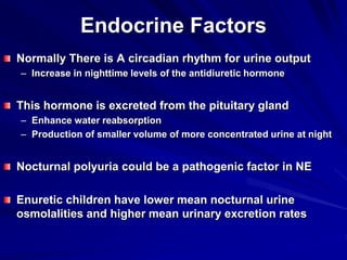 Endocrine Factors
Normally There is A circadian rhythm for urine output
– Increase in nighttime levels of the antidiuretic hormone
This hormone is excreted from the pituitary gland
– Enhance water reabsorption
– Production of smaller volume of more concentrated urine at night
Nocturnal polyuria could be a pathogenic factor in NE
Enuretic children have lower mean nocturnal urine
osmolalities and higher mean urinary excretion rates
 