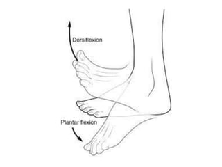 Comprehensive Overview of Nocturnal Leg Cramps: Causes, Diagnosis, and ...