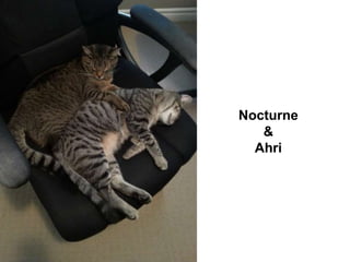 Nocturne
&
Ahri

 