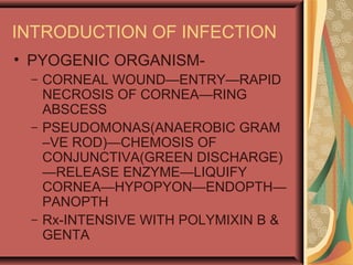 INTRODUCTION OF INFECTION
• PYOGENIC ORGANISM-
– CORNEAL WOUND—ENTRY—RAPID
NECROSIS OF CORNEA—RING
ABSCESS
– PSEUDOMONAS(ANAEROBIC GRAM
–VE ROD)—CHEMOSIS OF
CONJUNCTIVA(GREEN DISCHARGE)
—RELEASE ENZYME—LIQUIFY
CORNEA—HYPOPYON—ENDOPTH—
PANOPTH
– Rx-INTENSIVE WITH POLYMIXIN B &
GENTA
 