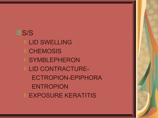 S/S
LID SWELLING
CHEMOSIS
SYMBLEPHERON
LID CONTRACTURE-
ECTROPION-EPIPHORA
ENTROPION
EXPOSURE KERATITIS
 