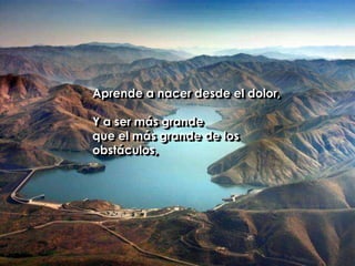 Aprende a nacer desde el dolor, Y a ser más grande que el más grande de los obstáculos,