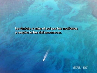 Levántate y mira el sol por las mañanas y respira la luz del amanecer.