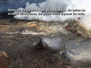 Aprende de los audaces, de los fuertes, de quien no acepta situaciones, de quien vivirá a pesar de todo.