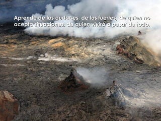 Aprende de los audaces, de los fuertes, de quien no acepta situaciones, de quien vivirá a pesar de todo. 