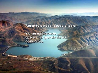 Aprende a nacer desde el dolor,  Y a ser más grande  que el más grande de los obstáculos,   