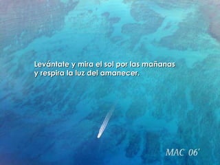 Levántate y mira el sol por las mañanas  y respira la luz del amanecer. 