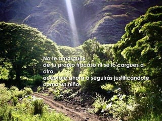 No te amargues  de tu propio fracaso ni se lo cargues a otro,  acéptate ahora o seguirás justificándote como un niño. 