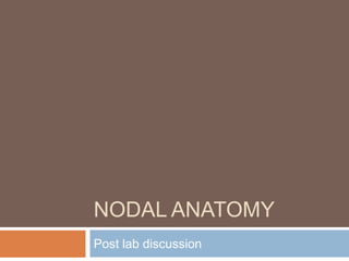 NODAL ANATOMY Post lab discussion 