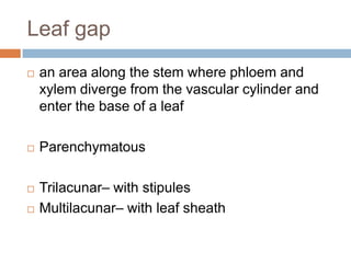 Leaf gapan area along the stem where phloem and xylem diverge from the vascular cylinder and enter the base of a leafParenchymatousTrilacunar– with stipulesMultilacunar– with leaf sheath