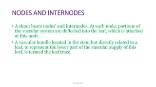 NODAL ANATOMY_TYPES OF NODE AND PHYLOGENETIC VIEWS | PDF