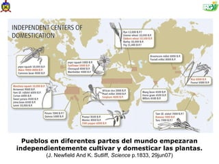 Pueblos en diferentes partes del mundo empezaran
independientemente cultivar y domesticar las plantas.
        (J. Newfield And K. Sutliff, Science p.1833, 29jun07)
 