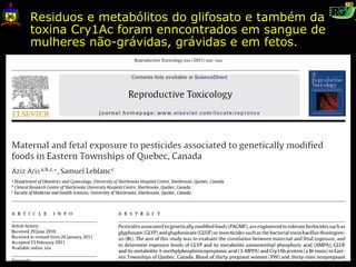 Residuos e metabólitos do glifosato e também da
toxina Cry1Ac foram enncontrados em sangue de
mulheres não-grávidas, grávidas e em fetos.
 