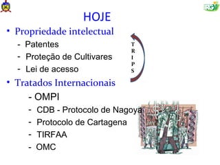 HOJE
• Propriedade intelectual
  - Patentes                 T
                             R
  - Proteção de Cultivares   I
                             P
  - Lei de acesso            S

• Tratados Internacionais
     - OMPI
     - CDB - Protocolo de Nagoya
     - Protocolo de Cartagena
     - TIRFAA
     - OMC
 