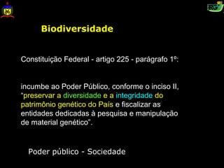 Biodiversidade


Constituição Federal - artigo 225 - parágrafo 1º:


incumbe ao Poder Público, conforme o inciso II,
“preservar a diversidade e a integridade do
patrimônio genético do País e fiscalizar as
entidades dedicadas à pesquisa e manipulação
de material genético”.


  Poder público - Sociedade
 
