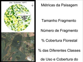 Métricas da Paisagem



 Tamanho Fragmento

 Número de Fragmento

 % Cobertura Florestal

% das Diferentes Classes

 de Uso e Cobertura do
 