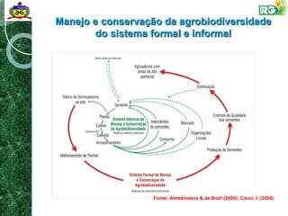 Manejo e conservação da agrobiodiversidade
        do sistema formal e informal




                   Fonte: Almekinders & de Boef (2000); Canci, I. (2006)
 