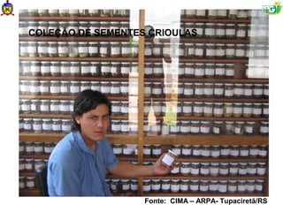 COLEÇÃO DE SEMENTES CRIOULAS




                   Fonte: CIMA – ARPA- Tupaciretã/RS
 