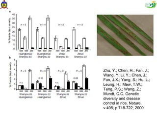 Zhu, Y.; Chen, H.; Fan, J.;
Wang, Y. Li, Y.; Chen, J.;
Fan, J.X.; Yang, S.; Hu, L.;
Leung, H.; Mew, T.W.;
Teng, P.S.; Wang, Z.;
Mundt, C.C. Genetic
diversity and disease
control in rice. Nature,
v.406, p.718-722, 2000.
 