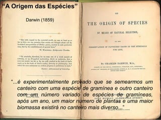 “A Origem das Espécies”

       Darwin (1859)




  “...é experimentalmente provado que se semearmos um
      canteiro com uma espécie de gramínea e outro canteiro
      com um número variado de espécies de gramíneas,
      após um ano, um maior número de plantas e uma maior
      biomassa existirá no canteiro mais diverso...”
 