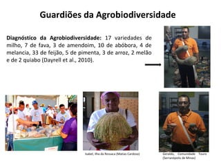 Guardiões da Agrobiodiversidade

Diagnóstico da Agrobiodiversidade: 17 variedades de
milho, 7 de fava, 3 de amendoim, 10 de abóbora, 4 de
melancia, 33 de feijão, 5 de pimenta, 3 de arroz, 2 melão
e de 2 quiabo (Dayrell et al., 2010).




                              Isabel, Ilha da Ressaca (Matias Cardoso)   Geraldo, Comunidade Touro
                                                                         (Serranópolis de Minas)
 