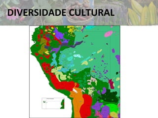 DIVERSIDADE CULTURAL
 
