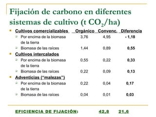 Fijación de carbono en diferentes
sistemas de cultivo (t CO2/ha)
   Cultivos comercializables      Orgánico Convenc. Diferencia
       Por encima de la biomasa     3,76     4,95     - 1,18
        de la tierra
       Biomasa de las raíces        1,44     0,89      0,55
   Cultivos intercalados
       Por encima de la biomasa     0,55     0,22      0,33
        de la tierra
       Biomasa de las raíces        0,22     0,09      0,13
   Adventicias (“malezas”)
       Por encima de la biomasa     0,22     0,04      0,17
        de la tierra
       Biomasa de las raíces        0,04     0,01      0,03



    EFICIENCIA DE FIJACIÓN :                42,8     21,6
 