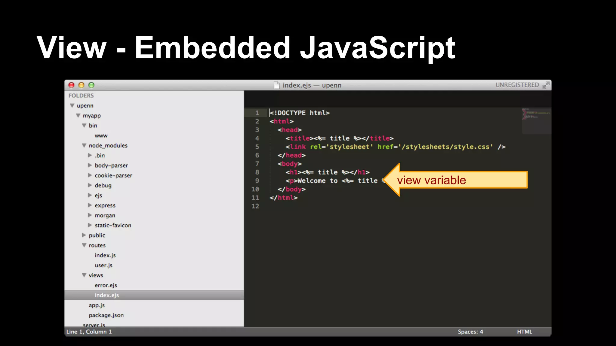 View - Embedded JavaScript
view variable
 