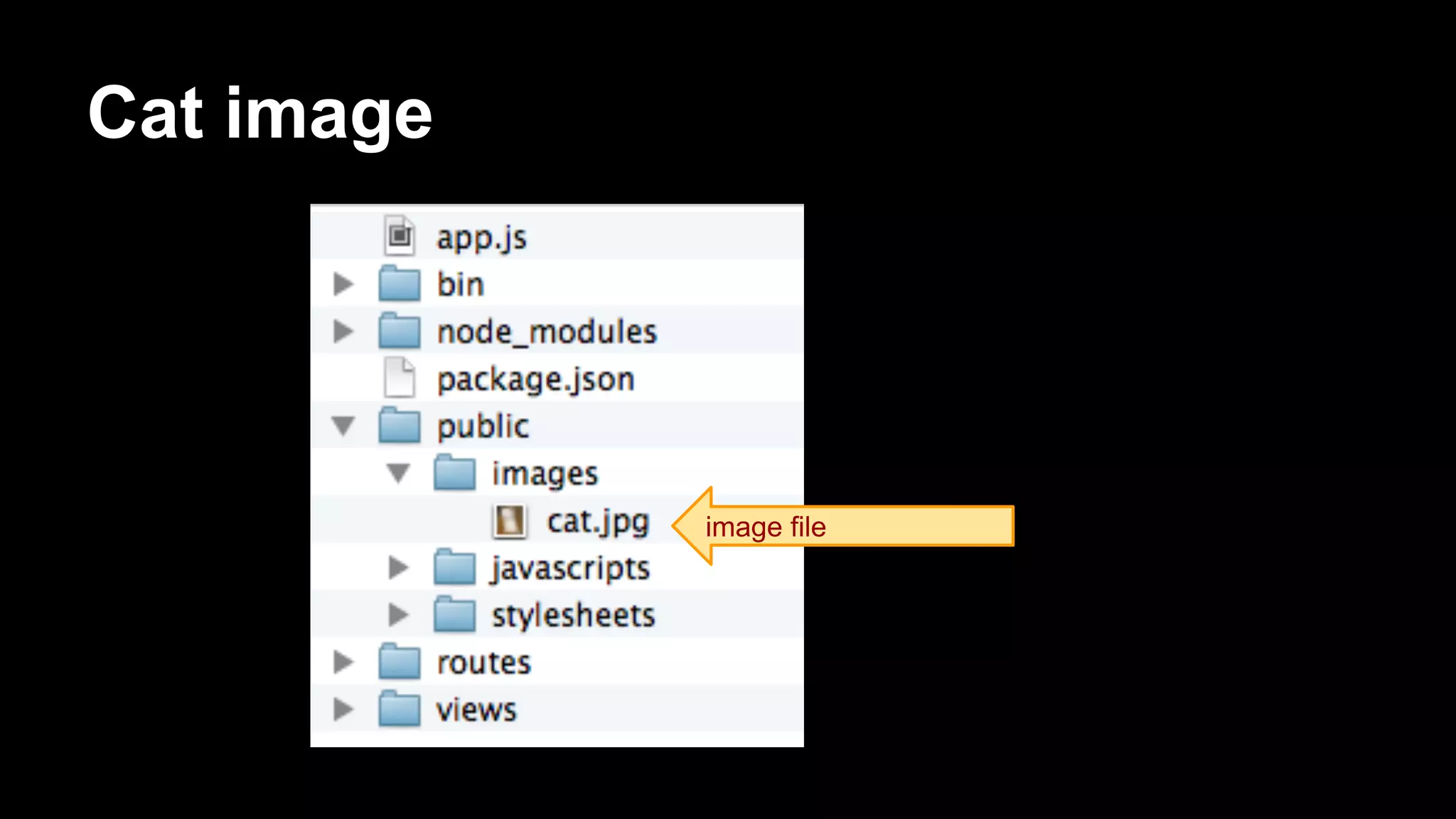 Cat image
image file
 