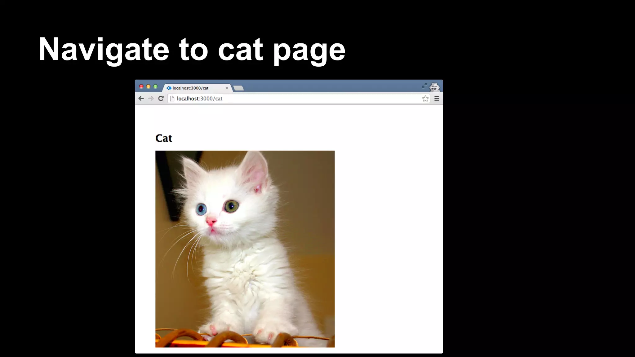 Navigate to cat page
 