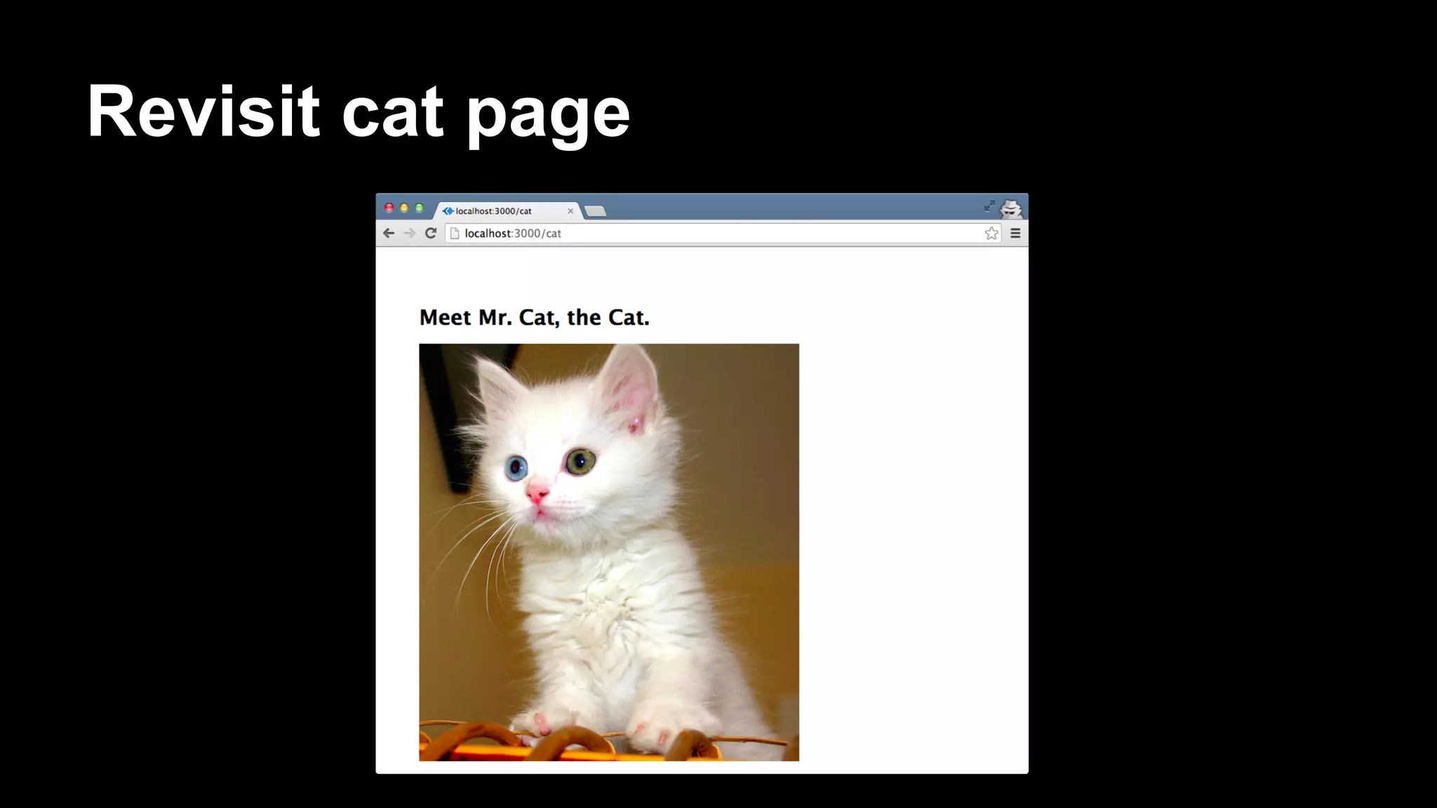 Revisit cat page
 