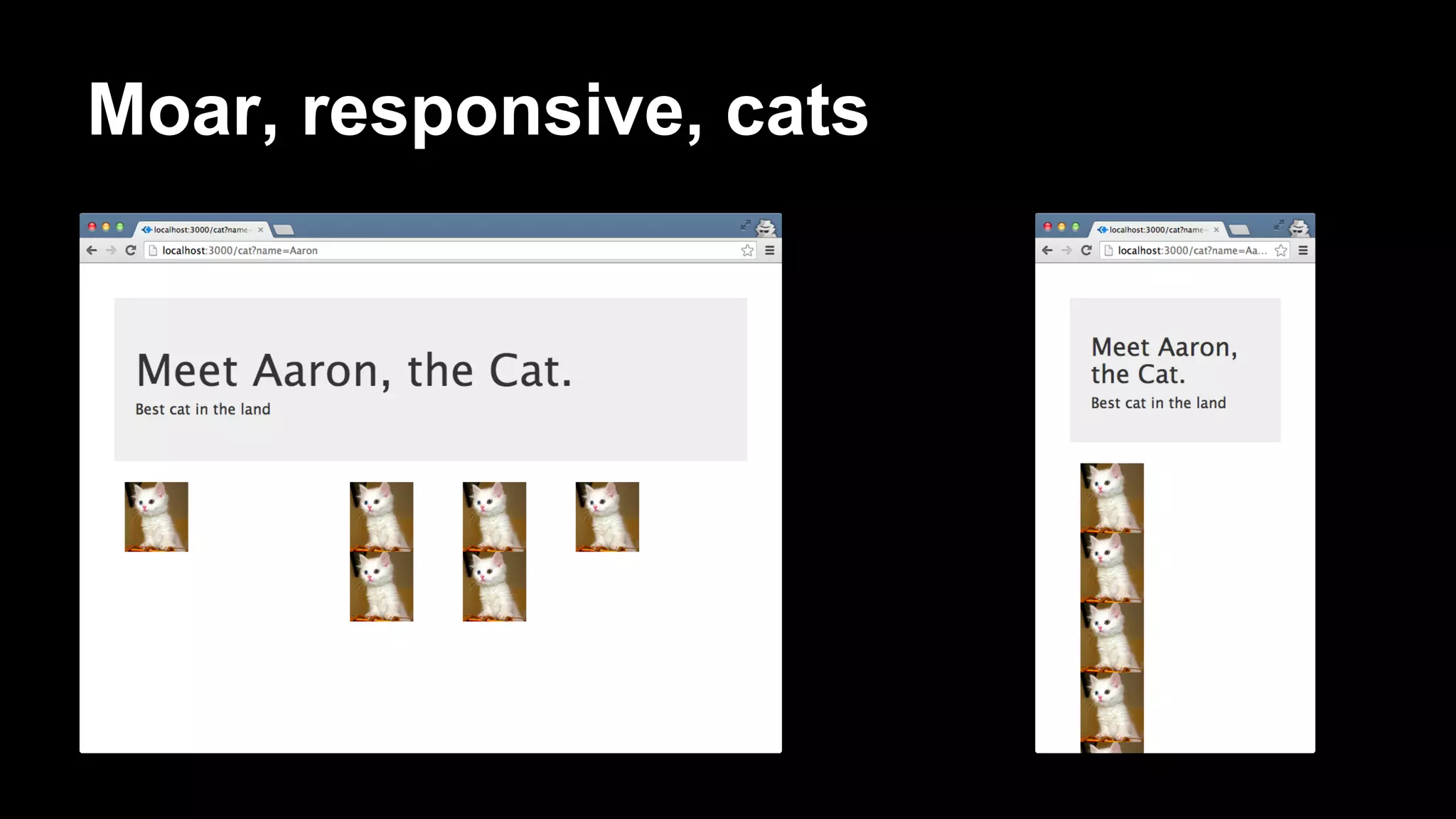 Moar, responsive, cats
 